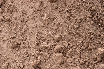 Earth for plant background. Soil background