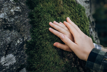 Mommy and daughter fingers gently touch tree bark covered in green lush moss at autumn day. Forest conservation, saving environment concept. Saving planet, green generation environment conscious