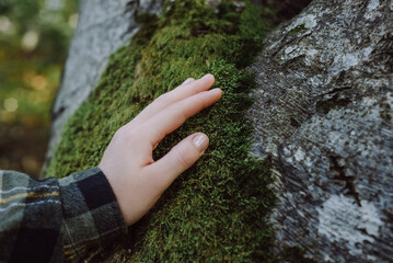Close up of woman hand gently touch tree bark covered in green lush moss at sunny day. Saving planet and connection with nature concept. Forest conservation, saving environment, green movement