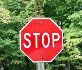 A close view of the red stop sign on the side of the road.