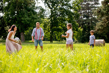 Parents with children playing ball in the park on green grass