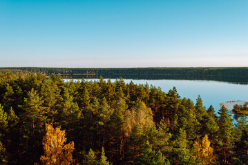 View of the coniferous treetops and Lake Baltieji Lakajai in Labanoras Regional Park, Lithuania.