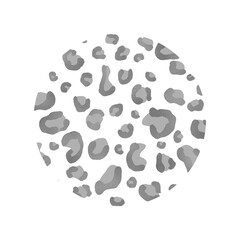 Silver Leopard Pattern