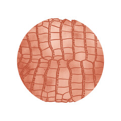 Copper Aligator Pattern Circle Background