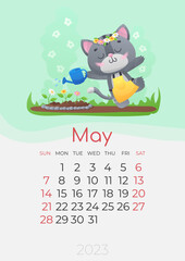Calendar of 2023 year, May, poster with cute gray kitty, cat in yellow work apron, with blue watering can watering the flowers in the garden. Vector illustration for postcard, banner, web, design, art