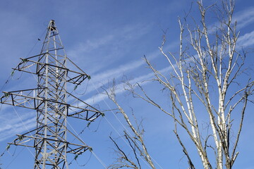 Big electric air power line tower top and dry bare birch tree branch on blue sky with aircraft contrails background . Ecology vs industry