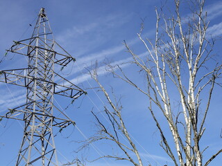 Electric air power line mast top and dry bare birch tree branch on blue sky with aircraft traces background . Ecological disaster landscape