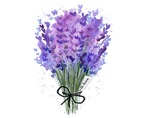 Fototapeta premium Lavender bouquet isolated png. Herb plant. Floral detail for card, postcard, wedding invitation, greeting, pattern. Watercolour illustration on white background.