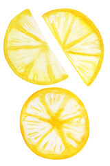 Watercolor Lemon slice. Hand painted whole lemons, halfs lemon, lemon wedges, lemon leaves and flowers