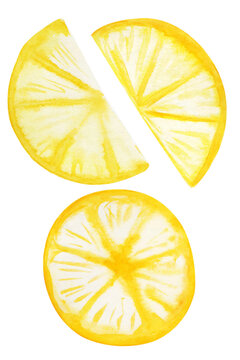 Watercolor Lemon slice. Hand painted whole lemons, halfs lemon, lemon wedges, lemon leaves and flowers