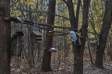 Wooden feeder for squirrels and birds on a tree in the autumn forest birdhouse
