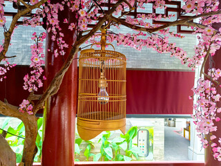 Vintage Japanese lamp decorated on bird cage hanging on sakura tree. Retro traditional style lamp.