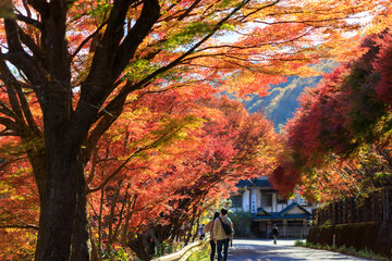 名勝・鬼ヶ嶽の紅葉を楽しむ観光客達