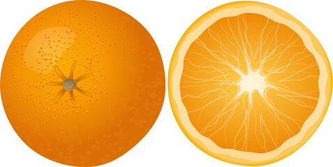slice of orange vector