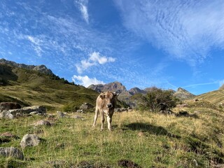 Turismo rural 