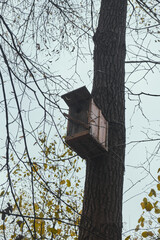 Wooden feeder for squirrels and birds on a tree in the autumn forest birdhouse