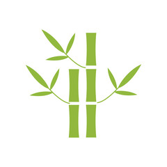 Naklejka premium Bamboo trees in green