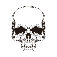 Skull vector illustration sketch and line art for logo, T shirt, emblem, and more