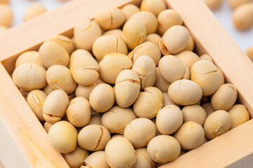 節分の煎り大豆