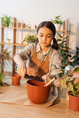 Kid in apron pouring ground in flowerpot near plant and watering can at home.