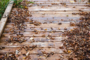 Brown fallen leaves in the fall on a wood dock