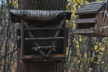 Fototapeta na wymiar Wooden feeder for squirrels and birds on a tree in the autumn forest birdhouse