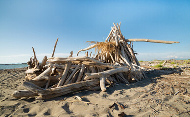 Mediterranean beach with residues of wooden  WWF Variconi oasis