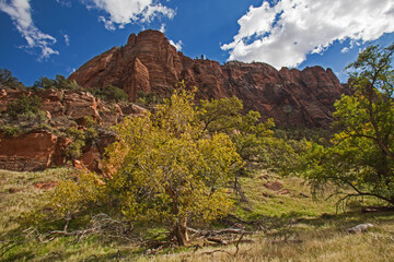 Zion Canyon Landscape 2675