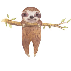 Сute sloth baby on a branch painted in watercolor. Sloth Watercolor, Sloth paint, Tropical animal, Cute sloth holding on to a branch and tree. Watercolor boho tropical drawing clipping path isolated 