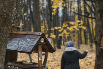 Wooden feeder for squirrels and birds on a tree in the autumn forest birdhouse