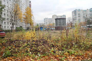 yellow leaves in autumn in a city block