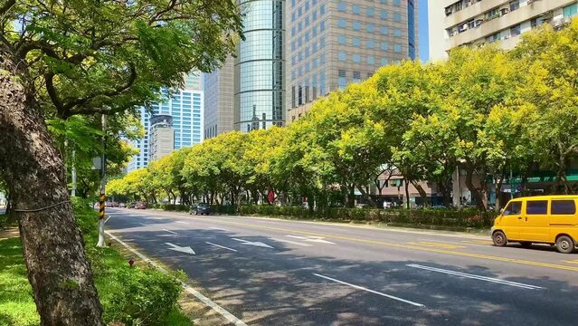 Taiwanese rain trees are blooming on both sides of the Dunhua South Road in Taipei, Taiwan.