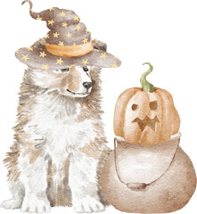 Sheltie puppy halloween illustration
