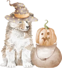 Foto op Canvas Sheltie puppy halloween illustration © Anastasiya