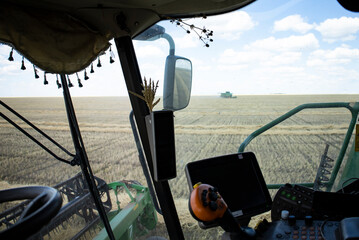 View from the combine cabin, harvesting.