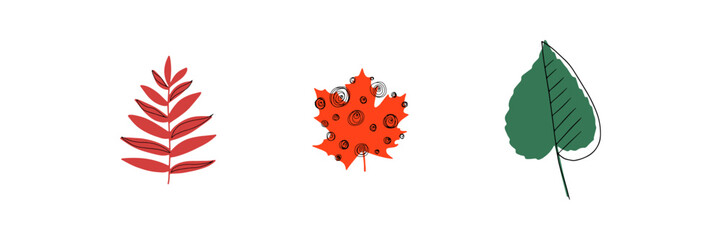 Fall leaf icon vector illustration set. Hand drawn 3 colorful design. Isolated graphic symbols. Autumn sign. Boho scandi colors. Nature abstract concept. Line art. Grey background. Red, green