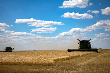 Fototapeta na wymiar Combine harvester harvests ripe wheat. agriculture