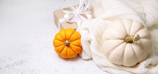 Autumn landscape web banner for sale or ADs with orange and white baby pumpkin, decorated with red autumn branch and gift box in craft paper with cozy knitted white blanket on background 