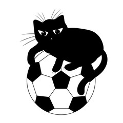 Fototapeta premium Soccer ball and black cat.