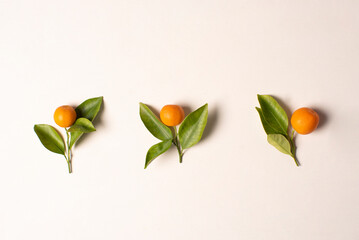 naranjas pequeñas ornamental, fotografía cenital de tres grupos de fruta con hoja sobre fondo blanco orgánico con pintura tiza, imagen de estudio