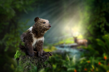 Bear cub sits on a stump in the middle of the forest against the background of a river and a deer and sun rays