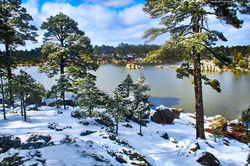 lake on winter with pine trees covered of snow, arareco lake in creel chihuahua  - obrazy, fototapety, plakaty