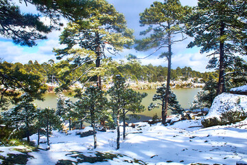 winter in the woods with lake in the background, snow covered the trees in arareco lake, creel chihuahua 