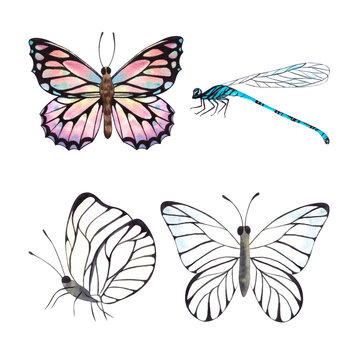 A set of butterflies and dragonflies painted in watercolor isolated on a white background