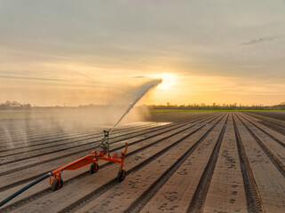 Irritation of flower beds in The Netherlands.