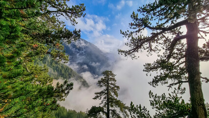 Obraz na płótnie Canvas Panoramic view of alpine valley on the hiking trail leading to Mount Olmypus, Macedonia, Greece, Europe. Lush green pine tree forest in summer covered in early morning clouds and fog. Wanderlust