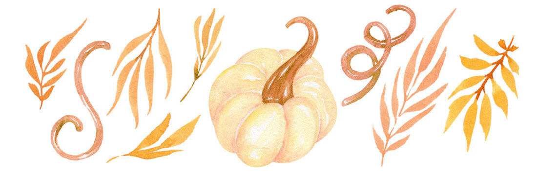 Pastel pumpkins watercolor illustration. Autumn art. Halloween and thankgiving isolated fall elements. Orange pampkin