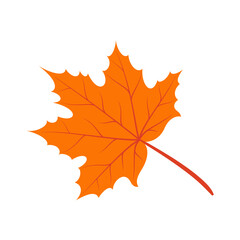 Viburnum leaf isolated cartoon orange plant icon. Vector foliage on stem, maple tree leafage. Fall or summer foliage, spring or autumn symbol