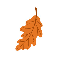 Acorn tree leaf isolated orange oak spring leafage cartoon icon. Vector herbarium object, summer leafage foliage, wood forest oak leaf