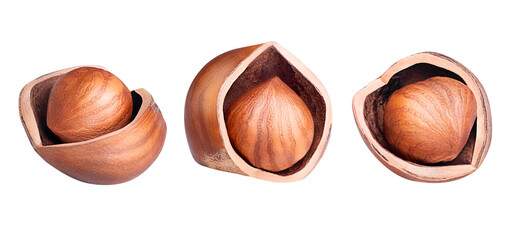 Hazelnuts isolated on white or transparent background. Collection of three cracked filbert nuts